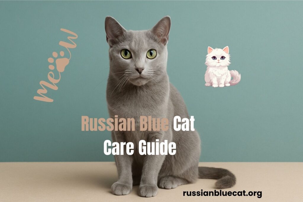Russian Blue Cat sitting on a beige surface with a teal background. Text overlay reads “Russian Blue Cat Care Guide” with cute cat graphics and paw design.