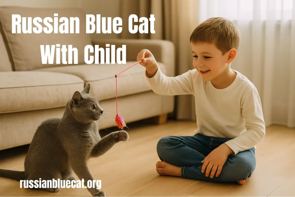 Russian Blue Cat playing gently with a young boy using a feather toy on the floor, text overlay “Russian Blue Cat With Child.