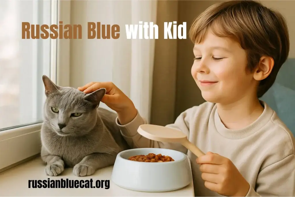 Russian Blue cat sitting calmly by the window while a smiling child pets it, showing friendliness with children