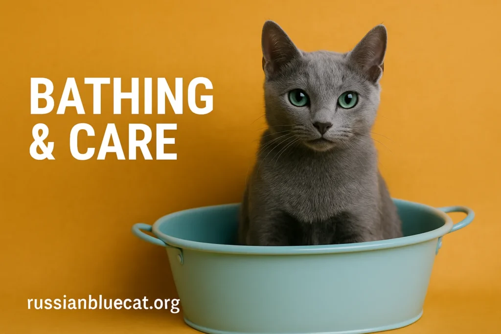 Russian Blue Cat sitting in a small blue tub with overlay text Bathing & Care