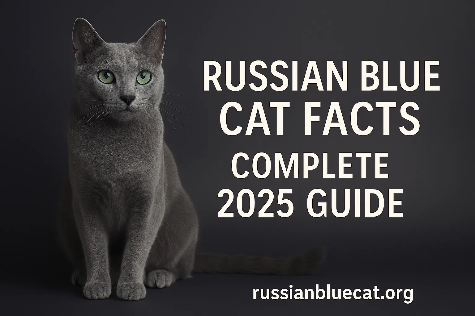 Feature image of Russian Blue Cat with overlay text Russian Blue Cat Facts Complete 2025 Guide