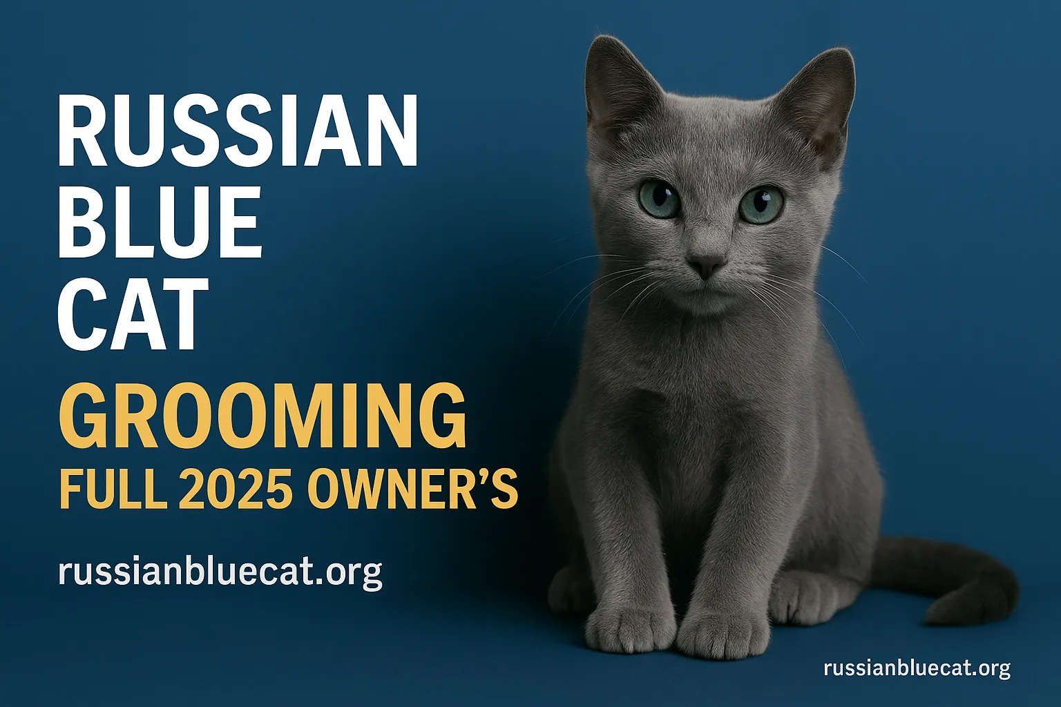 Feature image of Russian Blue Cat with overlay text Russian Blue Cat Grooming Full 2025 Owner’s Guide