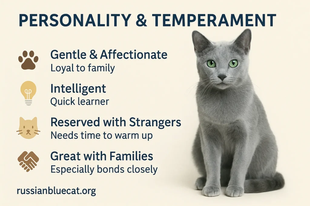 Infographic showing Personality & Temperament traits of Russian Blue Cat