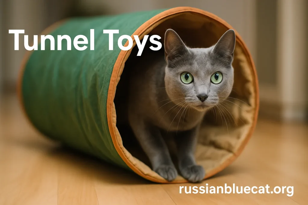 Russian Blue Cat playing inside a colorful tunnel toy with overlay text Tunnel Toys