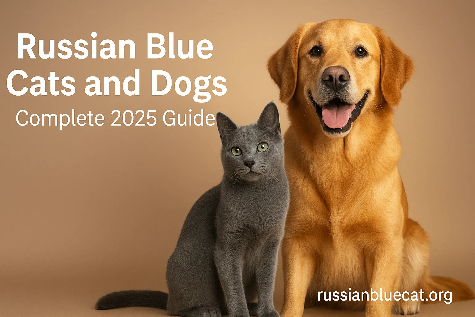 Feature image of Russian Blue Cat sitting beside a friendly dog with overlay text Russian Blue Cats and Dogs Guide 2025